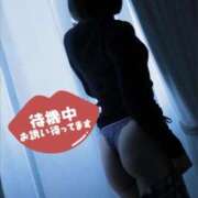 ヒメ日記 2025/12/20 00:16 投稿 めぐる ダイスキ