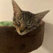 ヒメ日記 2025/02/19 14:13 投稿 まいか 三重松阪ちゃんこ