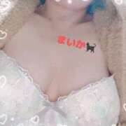 ヒメ日記 2025/02/27 14:33 投稿 まいか 三重松阪ちゃんこ