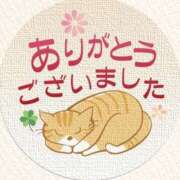 ヒメ日記 2025/03/06 15:39 投稿 なほ 熟女の風俗アウトレット大垣安八羽島店