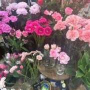 ヒメ日記 2025/02/27 00:16 投稿 九十九 さくら 夜這い専門 発情する奥様たち梅田店