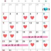 ヒメ日記 2025/03/01 12:06 投稿 九十九 さくら 夜這い専門 発情する奥様たち梅田店