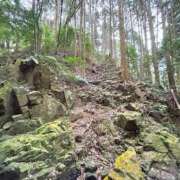 ヒメ日記 2025/03/18 07:46 投稿 九十九 さくら 夜這い専門 発情する奥様たち梅田店