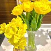 ヒメ日記 2025/03/21 09:06 投稿 九十九 さくら 夜這い専門 発情する奥様たち梅田店