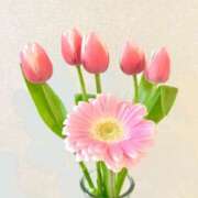 ヒメ日記 2025/04/02 10:46 投稿 九十九 さくら 夜這い専門 発情する奥様たち梅田店