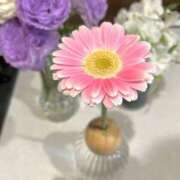 ヒメ日記 2025/04/09 08:56 投稿 九十九 さくら 夜這い専門 発情する奥様たち梅田店