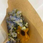 ヒメ日記 2025/04/30 21:16 投稿 九十九 さくら 夜這い専門 発情する奥様たち梅田店