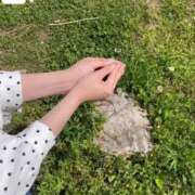 ヒメ日記 2025/05/03 14:16 投稿 九十九 さくら 夜這い専門 発情する奥様たち梅田店