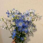 ヒメ日記 2025/05/19 01:36 投稿 九十九 さくら 夜這い専門 発情する奥様たち梅田店