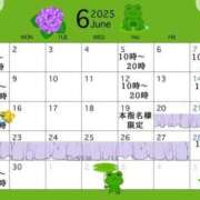 ヒメ日記 2025/06/04 12:58 投稿 九十九 さくら 夜這い専門 発情する奥様たち梅田店