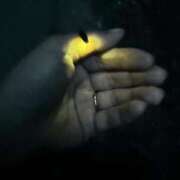 ヒメ日記 2025/06/08 18:16 投稿 九十九 さくら 夜這い専門 発情する奥様たち梅田店