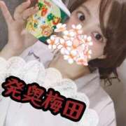 ヒメ日記 2025/07/14 10:26 投稿 九十九 さくら 夜這い専門 発情する奥様たち梅田店