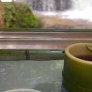 ヒメ日記 2025/07/20 14:26 投稿 九十九 さくら 夜這い専門 発情する奥様たち梅田店