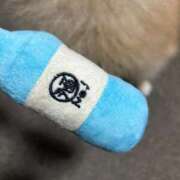 ヒメ日記 2025/09/14 02:46 投稿 九十九 さくら 夜這い専門 発情する奥様たち梅田店