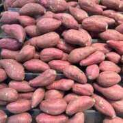 ヒメ日記 2025/10/10 21:56 投稿 九十九 さくら 夜這い専門 発情する奥様たち梅田店