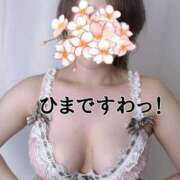 ヒメ日記 2025/10/26 10:06 投稿 九十九 さくら 夜這い専門 発情する奥様たち梅田店