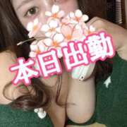 ヒメ日記 2025/11/23 09:09 投稿 九十九 さくら 夜這い専門 発情する奥様たち梅田店