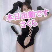 ヒメ日記 2026/01/17 09:56 投稿 九十九 さくら 夜這い専門 発情する奥様たち梅田店