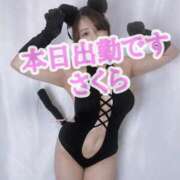 ヒメ日記 2026/01/17 10:06 投稿 九十九 さくら 夜這い専門 発情する奥様たち梅田店