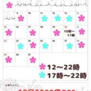 ヒメ日記 2026/02/21 10:36 投稿 九十九 さくら 夜這い専門 発情する奥様たち梅田店