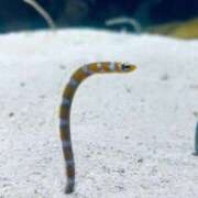 ヒメ日記 2026/03/14 15:56 投稿 九十九 さくら 夜這い専門 発情する奥様たち梅田店