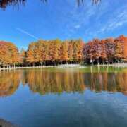 ヒメ日記 2025/11/27 16:18 投稿 りり 新橋フェアリーズ