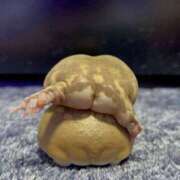 ヒメ日記 2025/03/02 19:22 投稿 江上 舞 こあくまな熟女たち 静岡店（KOAKUMAグループ）