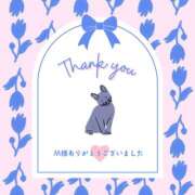 ヒメ日記 2026/04/11 18:29 投稿 江上 舞 こあくまな熟女たち 静岡店（KOAKUMAグループ）