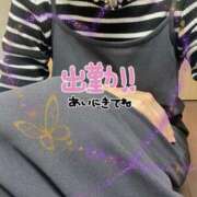 ヒメ日記 2025/02/20 20:35 投稿 吹石 モアグループ大宮人妻花壇