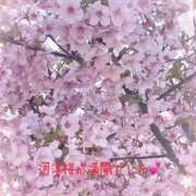 ヒメ日記 2025/03/19 11:42 投稿 吹石 モアグループ大宮人妻花壇