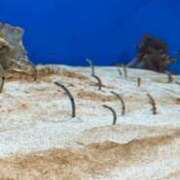 ヒメ日記 2025/02/22 11:49 投稿 みわ スピードエコ梅田店