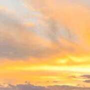 ヒメ日記 2025/02/23 12:06 投稿 みわ スピードエコ梅田店