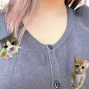 ヒメ日記 2025/05/18 10:52 投稿 みわ スピードエコ梅田店