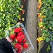 ヒメ日記 2025/04/28 02:50 投稿 秋山かなえ やみつきエステ錦糸町店