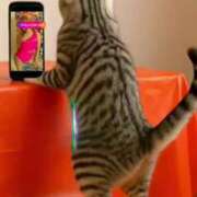 ヒメ日記 2025/08/30 07:45 投稿 りお リッチドールパート2梅田店