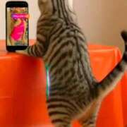 ヒメ日記 2025/09/20 12:45 投稿 りお リッチドールパート2梅田店