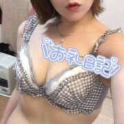 ヒメ日記 2025/01/25 22:18 投稿 あさひ 折り紙 ORIGAMI