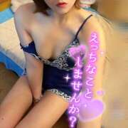 ヒメ日記 2025/02/12 21:18 投稿 あさひ 折り紙 ORIGAMI