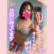 ヒメ日記 2025/08/25 08:21 投稿 あさひ 折り紙 ORIGAMI