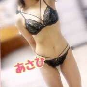 ヒメ日記 2026/02/14 15:12 投稿 あさひ 折り紙 ORIGAMI