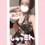 ヒメ日記 2026/02/15 08:48 投稿 あさひ 折り紙 ORIGAMI