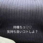 ヒメ日記 2025/02/18 15:00 投稿 北岸（きたぎし） 熟女の風俗最終章 名古屋店