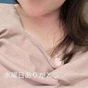 ヒメ日記 2025/04/24 08:00 投稿 北岸（きたぎし） 熟女の風俗最終章 名古屋店