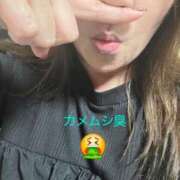 ヒメ日記 2025/09/24 06:12 投稿 北岸（きたぎし） 熟女の風俗最終章 名古屋店