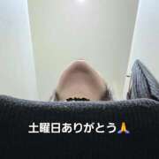 ヒメ日記 2025/11/16 06:12 投稿 北岸（きたぎし） 熟女の風俗最終章 名古屋店