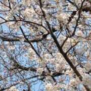 ヒメ日記 2026/03/29 17:24 投稿 北岸（きたぎし） 熟女の風俗最終章 名古屋店