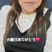 ヒメ日記 2026/04/08 03:42 投稿 北岸（きたぎし） 熟女の風俗最終章 名古屋店