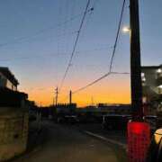 ヒメ日記 2025/02/08 01:46 投稿 さち 俺のジュニア