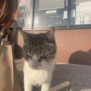 ヒメ日記 2025/04/07 19:56 投稿 さち 俺のジュニア