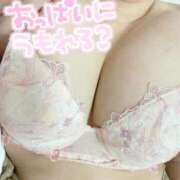 ヒメ日記 2025/05/10 13:16 投稿 さち 俺のジュニア